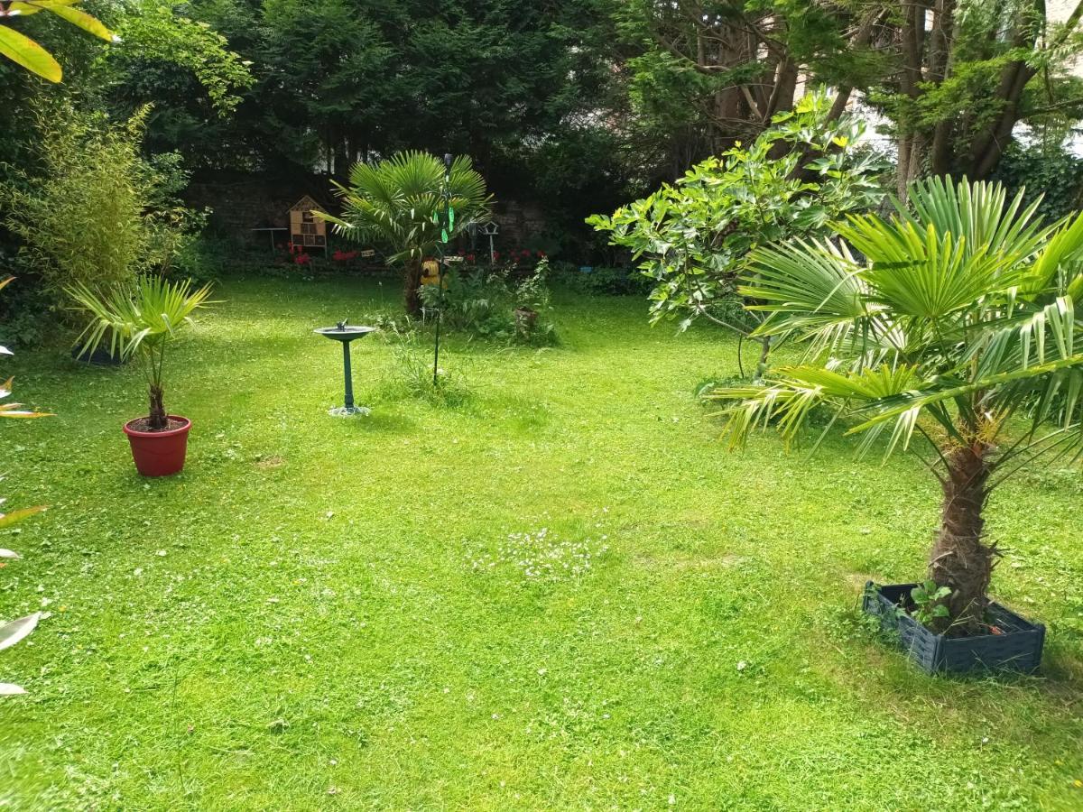Gite Du Jardin Secret Saint-Valéry-sur-Somme Zewnętrze zdjęcie