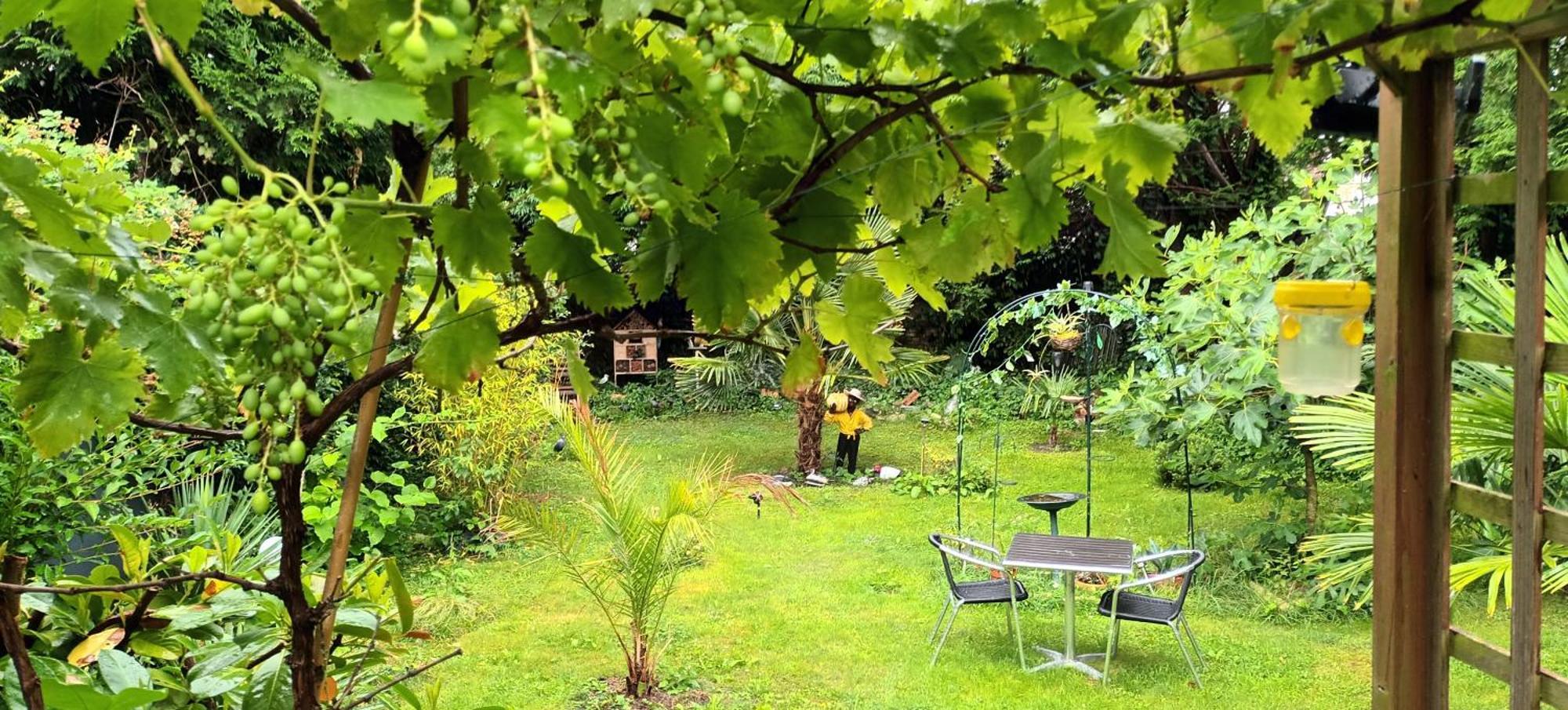 Gite Du Jardin Secret Saint-Valéry-sur-Somme Zewnętrze zdjęcie